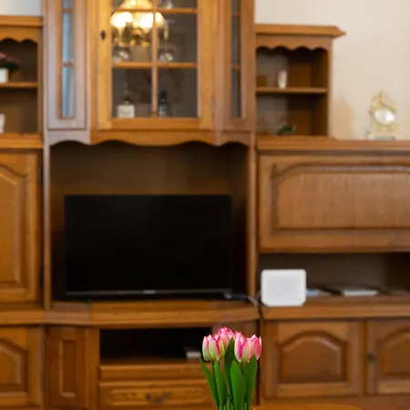 Dugec Apartment